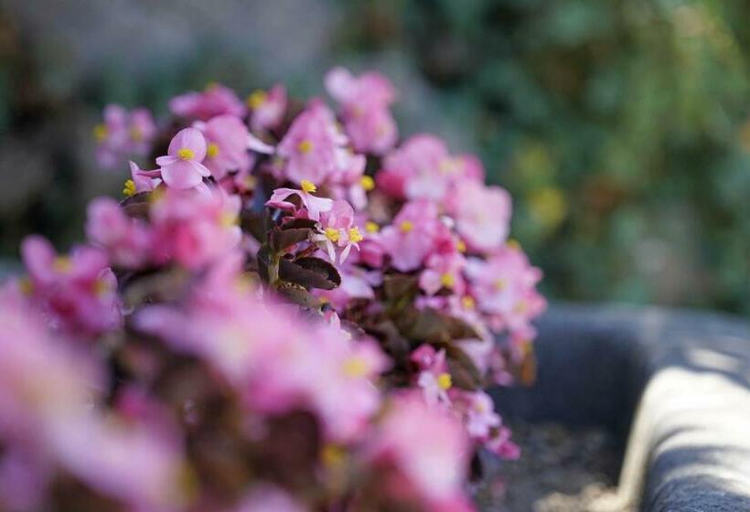 Gîtes Chez Oncle Nicolas