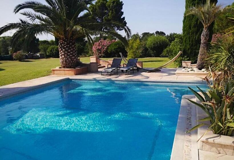 Villa De 2 Chambres Avec Piscine Privee Jardin Clos Et Wifi A Saint Cyprien