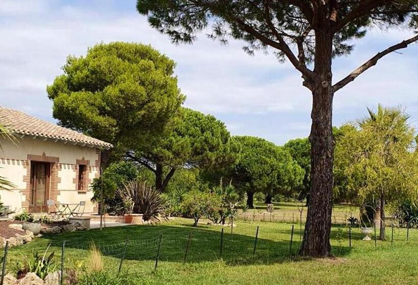 Villa De 2 Chambres Avec Piscine Privee Jardin Clos Et Wifi A Saint Cyprien