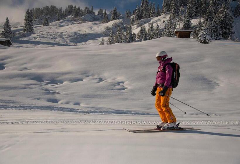 تختخواب و صبحانه Pension Daniel