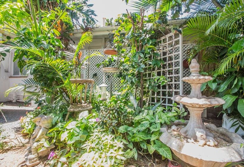 تختخواب و صبحانه Honeypot Guest House