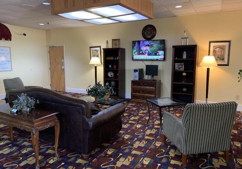 酒店 Americas Best Value Inn Forest