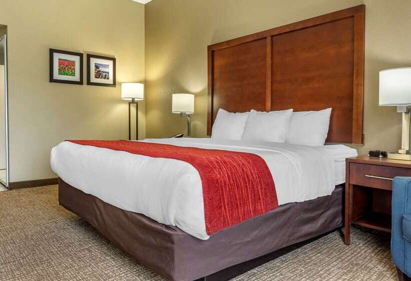 ホテル Comfort Inn & Suites Mocksville I 40