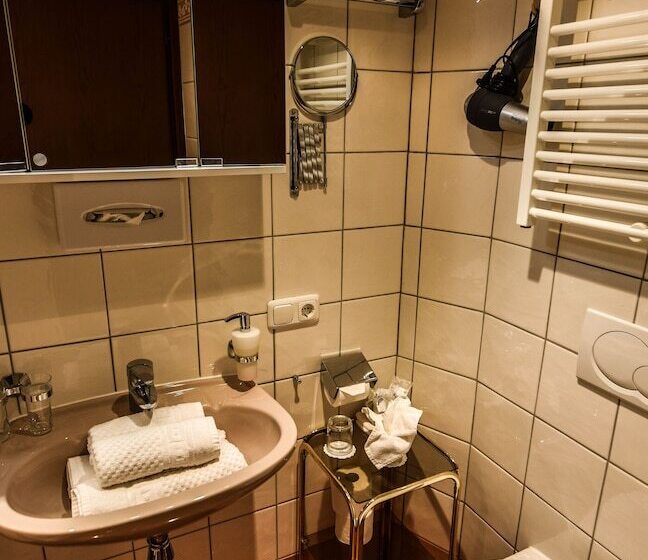 Fotos del hotel Adler Hotel Palma:  11