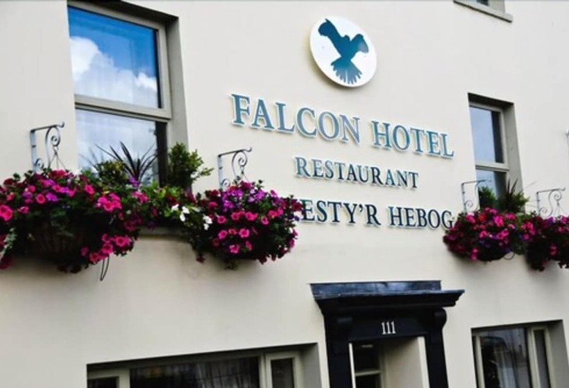 Hotel Falcon