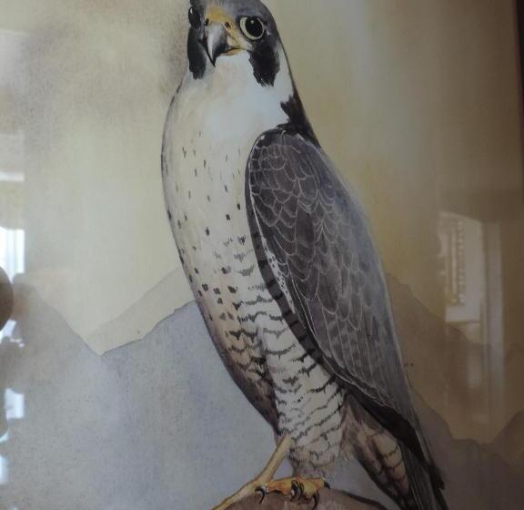 هتل Falcon