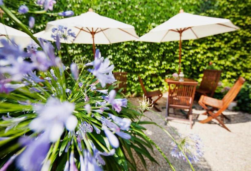 Fotos del hotel Garden Boutique:  46