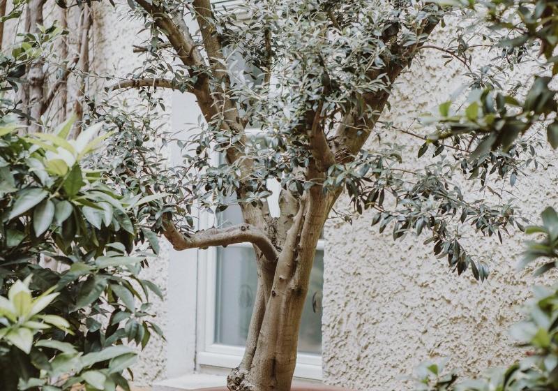 Fotos del hotel Hotel BelAhr am Potsdamer Platz:  12