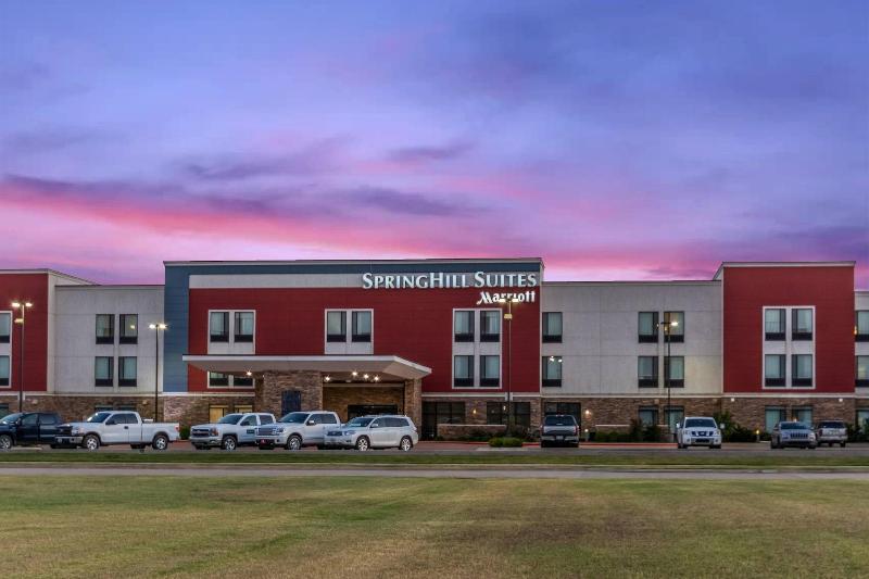 فندق Springhill Suites By Marriott Enid