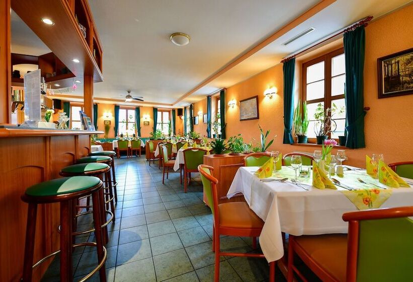 호텔 Zum Goldenen Löwen