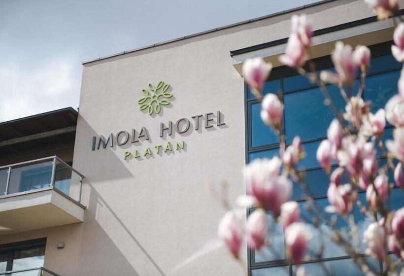 Fotos del hotel Imola Hotel Platán:  32