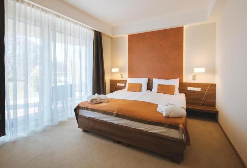Fotos del hotel Imola Hotel Platán:  9