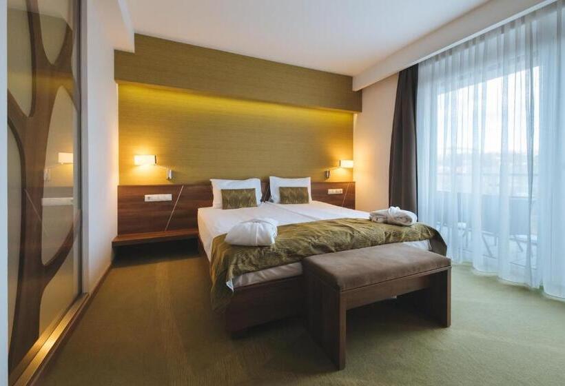 Fotos del hotel Imola Hotel Platán:  5