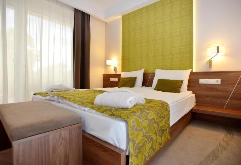Fotos del hotel Imola Hotel Platán:  8