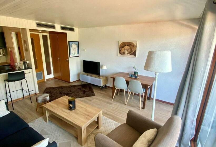 Charmant Studio à Châtel   4 Pers, Balcon Sud Ouest, Proche Télécabine Et Centre Du Village   Fr 1 1