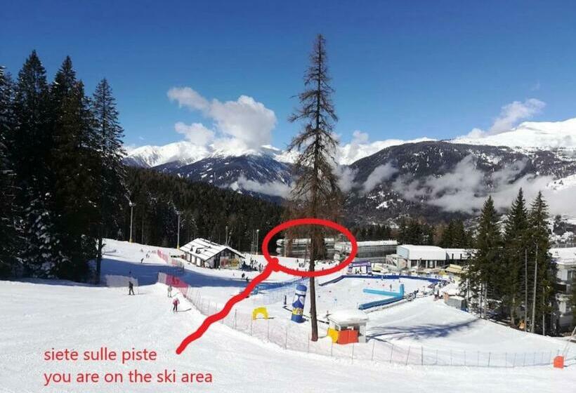 Residence Artuick Ap.556 Direttamente Sulle Piste