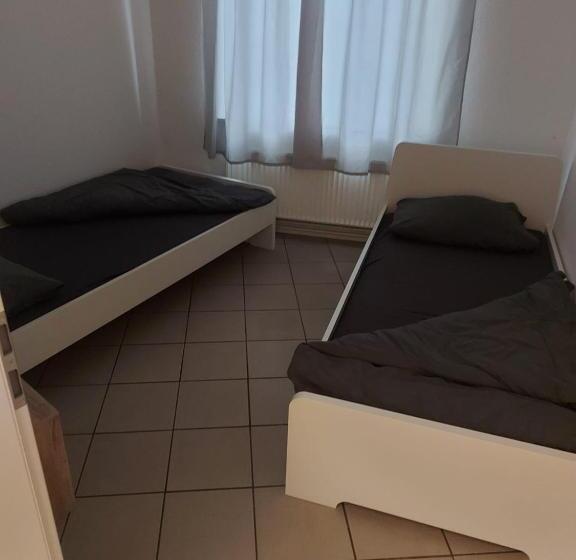 Koala 1 5 Personen