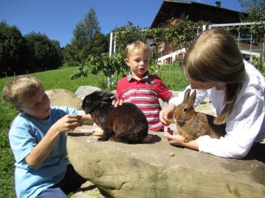 Bio Ferienbauernhof Greber