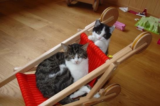 Bauernhof Schneider Reinhard