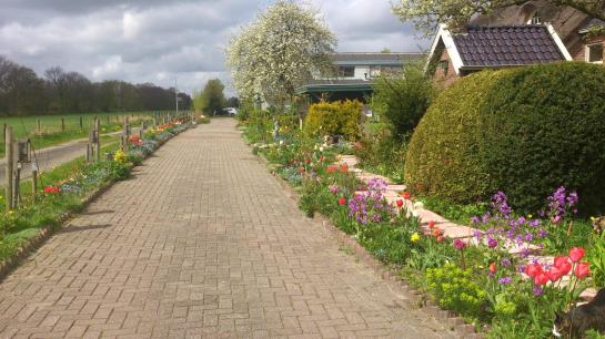 B&b Het Farmhouse Greenpark