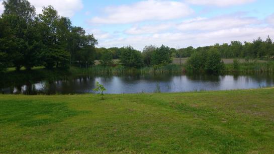 B&b Het Farmhouse Greenpark