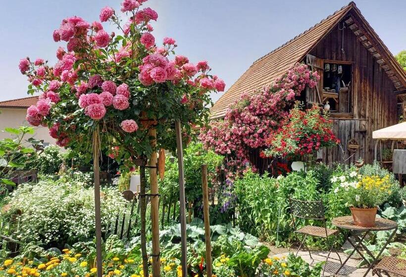 هتل Restaurant Mohren