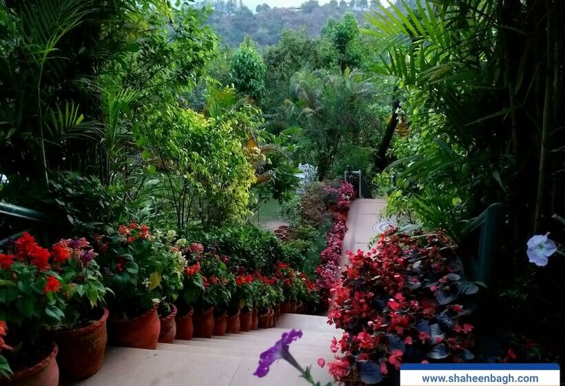 هتل Shaheen Bagh   A Luxury Resort & Spa