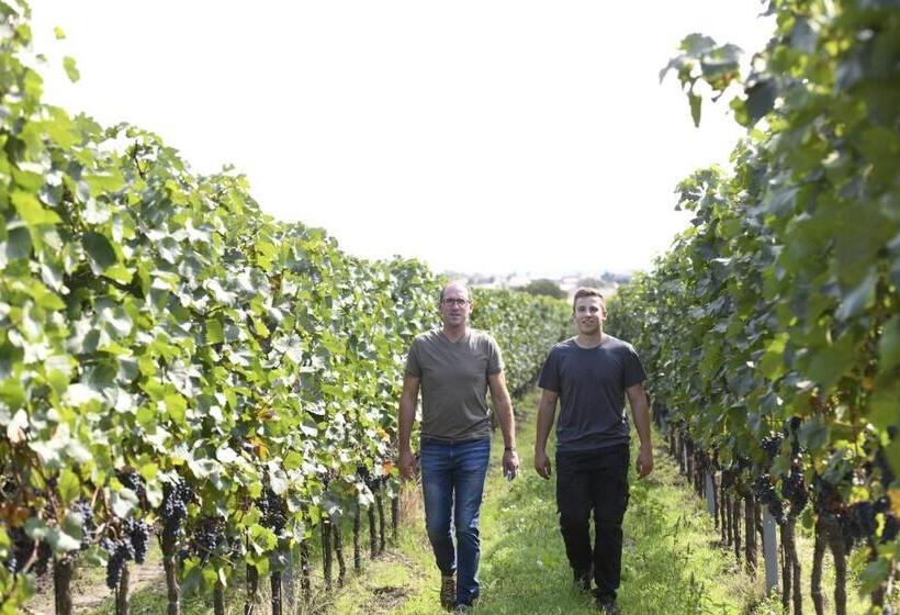 בית מלון כפרי Winzerhof Kiss