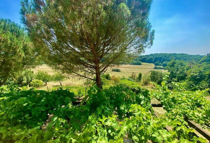 Les Pieds En éventail