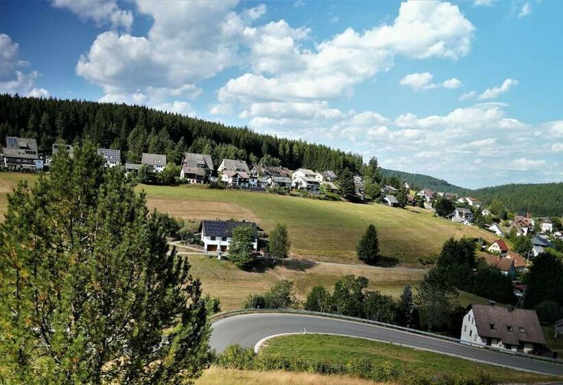 Schwarzwaldblick