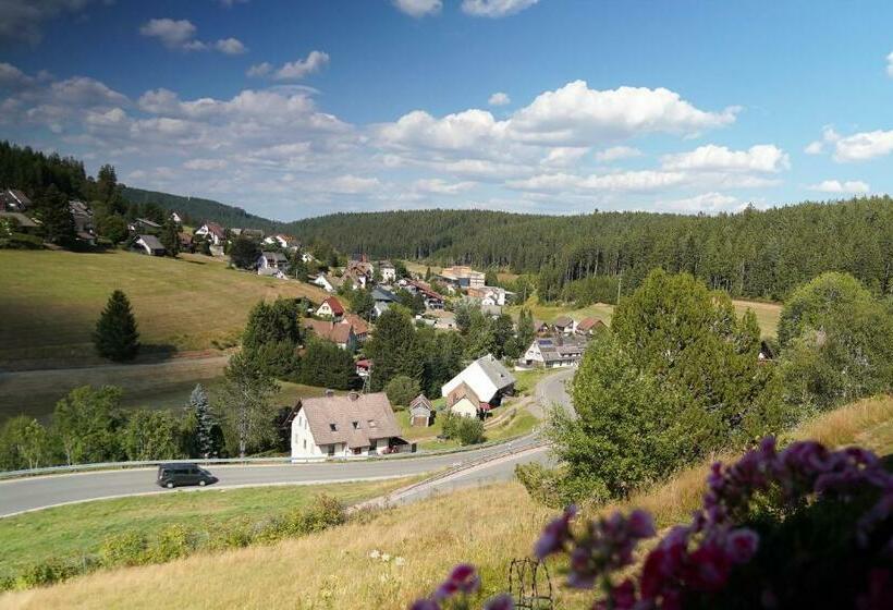 Schwarzwaldblick