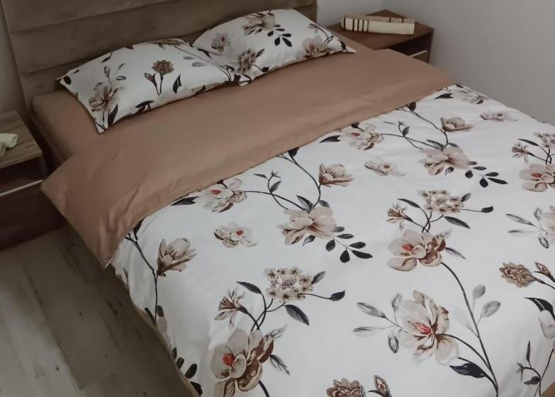 Ceca Apartment