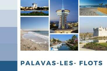 T3 Somptuosa 1 ère Ligne Face Mer Palavas