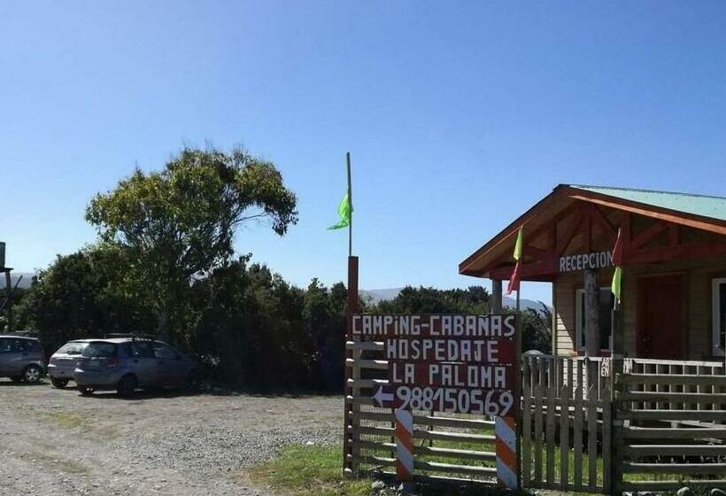 La Paloma Cucao