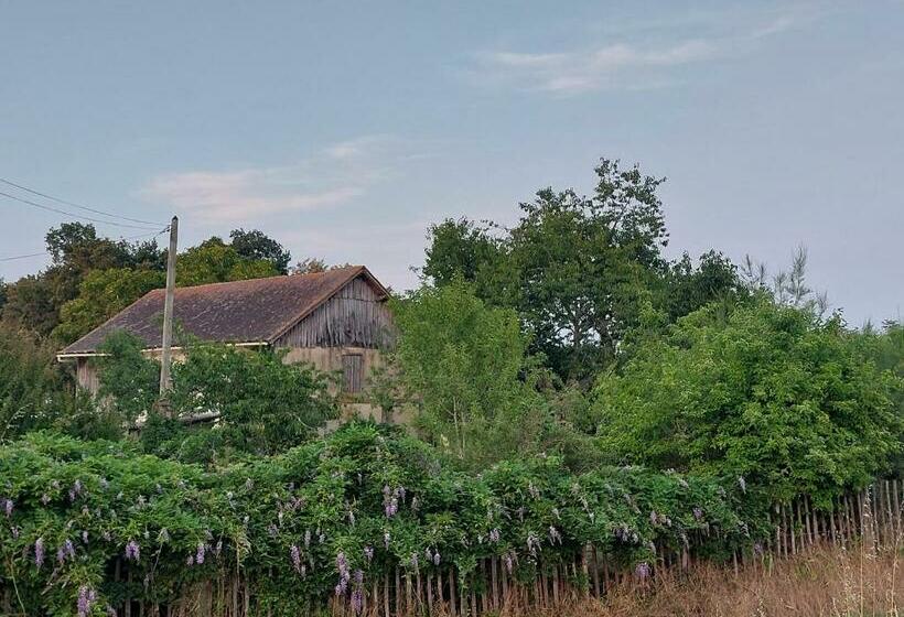 Petite Ferme Dans Le Périgord Pourpre En Dordogne