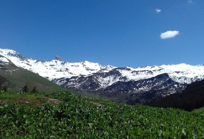 هتل Arolla