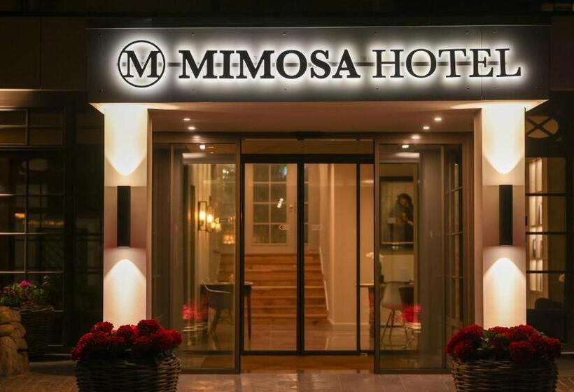 هتل Mimosa