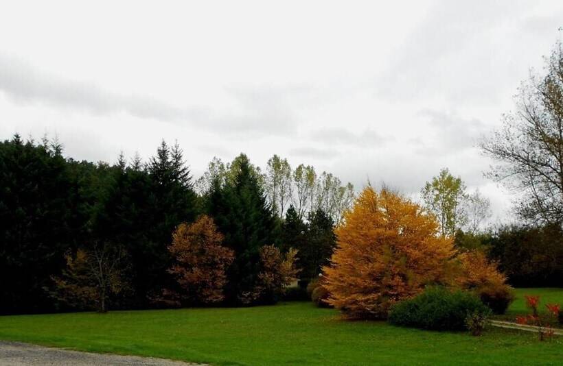 Отель Le Moulin De Barette