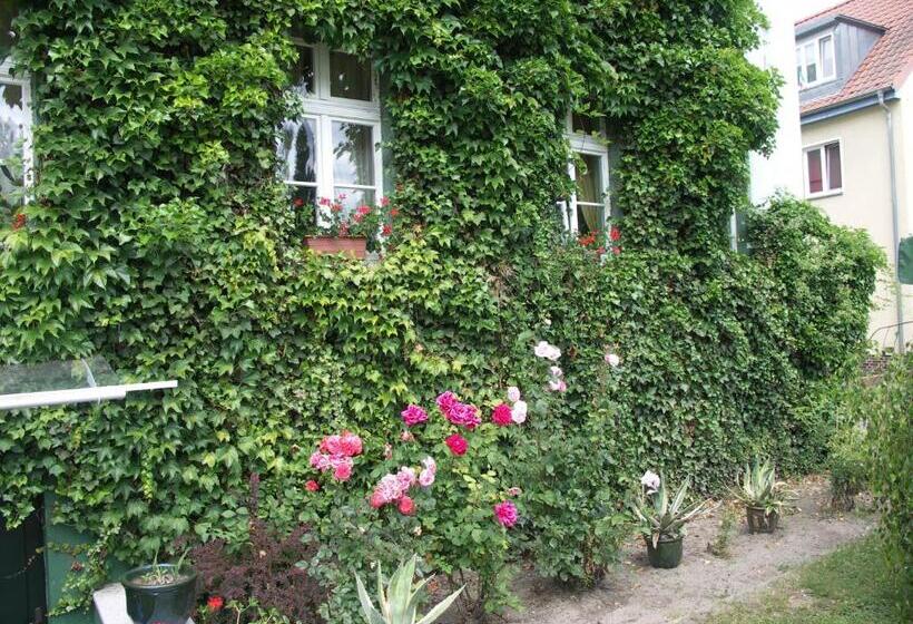 فندق & Restaurant ,,zur Alten Oder In Frankfurt Oder