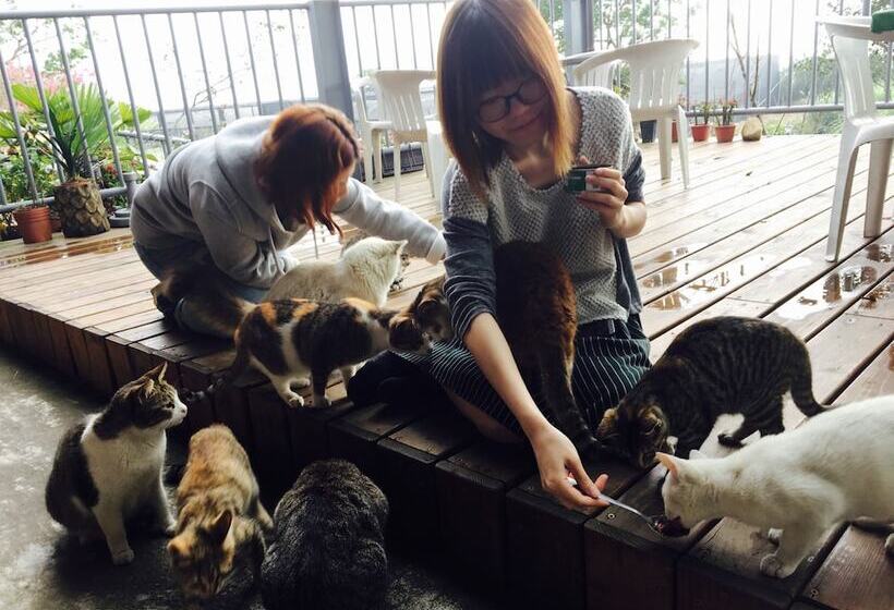 هتل H& Alishan Sunrise B&b