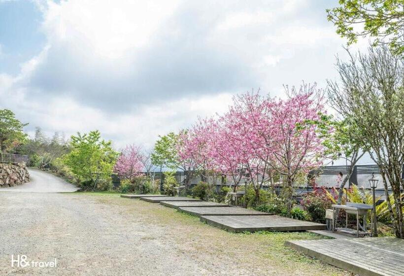 هتل H& Alishan Sunrise B&b