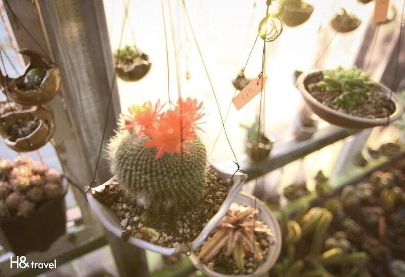 هتل H& Alishan Sunrise B&b