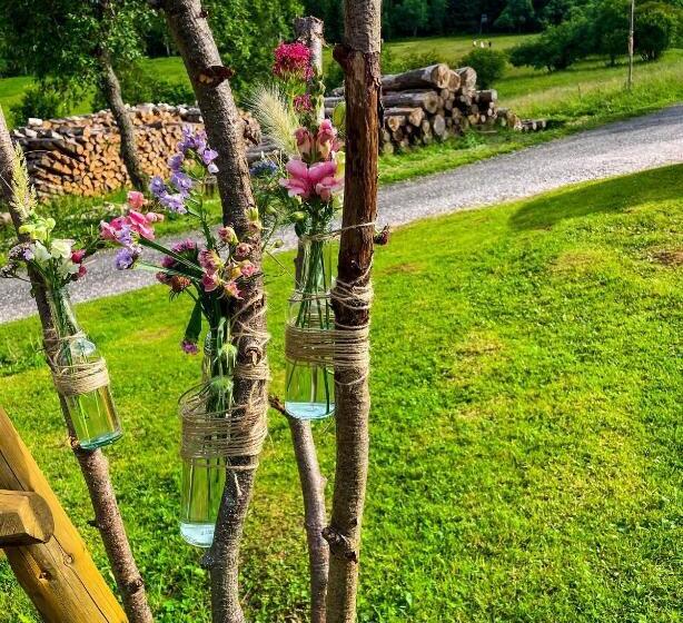 پانسیون Horský Penzion Vebrovy Boudy