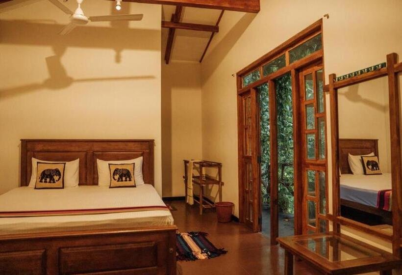 تختخواب و صبحانه Aloe Vera Guest House