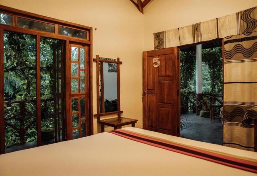 تختخواب و صبحانه Aloe Vera Guest House
