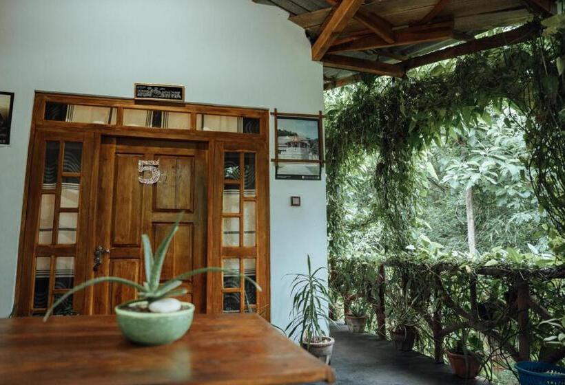 تختخواب و صبحانه Aloe Vera Guest House