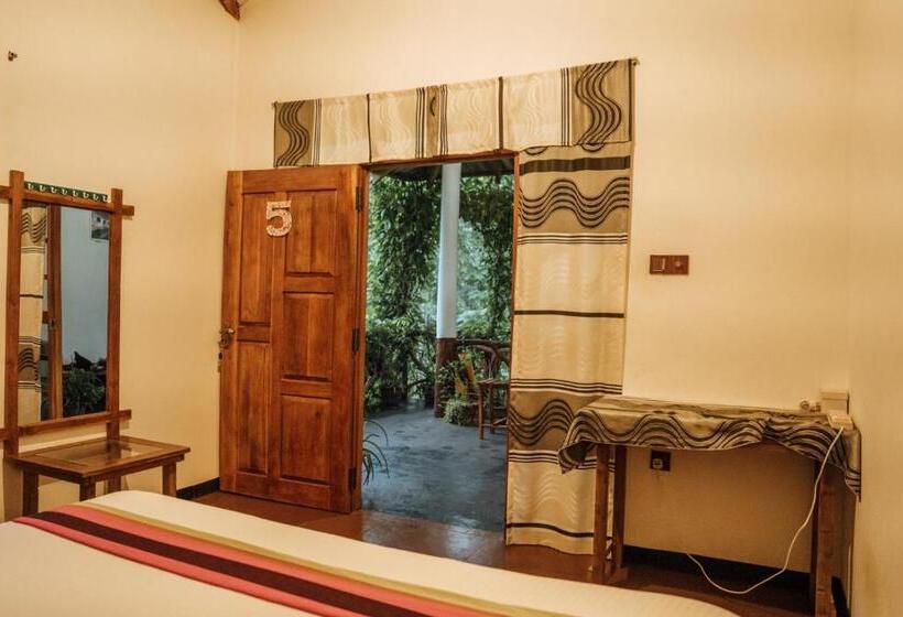 تختخواب و صبحانه Aloe Vera Guest House