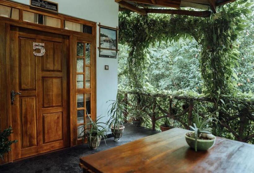 تختخواب و صبحانه Aloe Vera Guest House