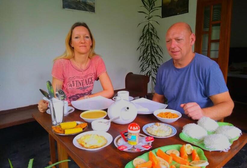 تختخواب و صبحانه Aloe Vera Guest House