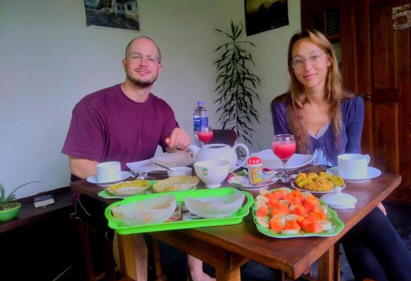 تختخواب و صبحانه Aloe Vera Guest House